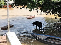 Assi Ghat