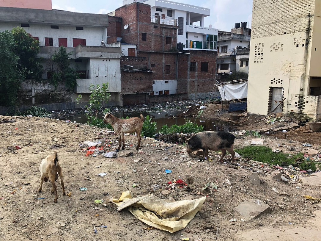 Varanasi