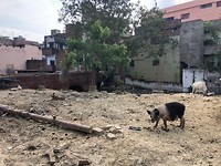 Varanasi