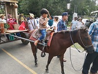 Parade Canas