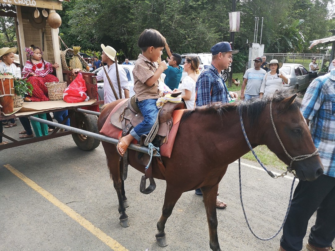 Parade Canas