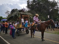 Parade Canas