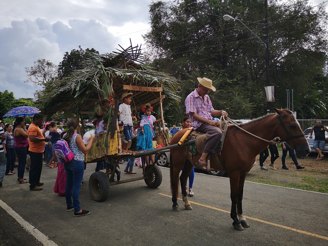 Parade Canas