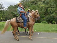 Parade Canas