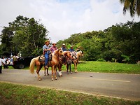 Parade Canas
