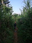 road to Mountain Nest