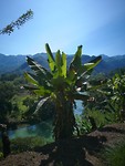Semuk Champey