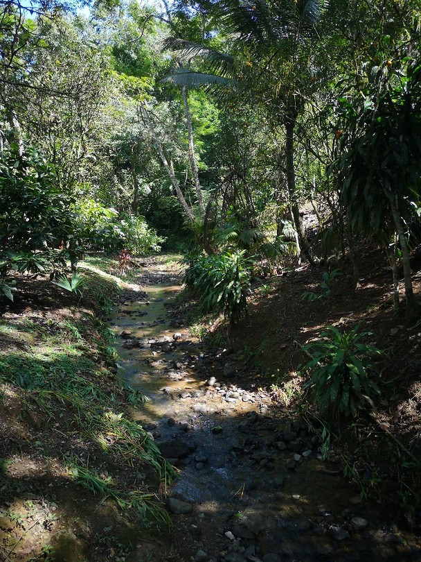 Lanquin