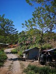 Lanquin