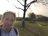 IMG_0651