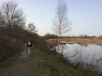 IMG_0657