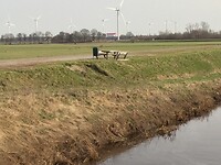IMG_0723