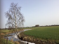 IMG_0736