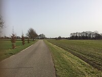 IMG_0747