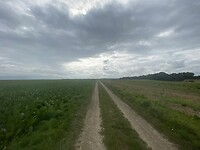 24F16B3C-09B7-4C3A-9CD9-A369736351F9