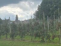 ACDF21DE-5CA0-4596-9EE0-69D9302B09C3