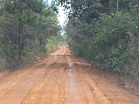 dirtroad