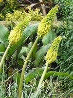 In de botanische tuin