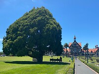 Rotorua museum
