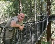 Wandelen over hangbruggen in Redwood Forest