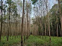 IMG_20180222_152106