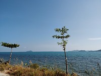 IMG_20180222_153651