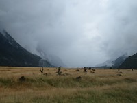 IMG_2046