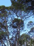 UNADJUSTEDNONRAW_thumb_3a28