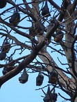 UNADJUSTEDNONRAW_thumb_3a29