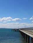 UNADJUSTEDNONRAW_thumb_3941