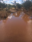 IMG_4293