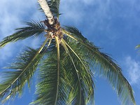 UNADJUSTEDNONRAW_thumb_3ede
