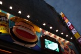 Dotonbori, monkey