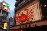 Dotonbori, crab