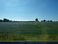 Ook zagen we veel van dit blauwe spul, wie weer wat dat is, Tijm?