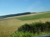 Heel veel landbouw