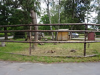 Kinderboerderij bij de camping