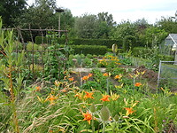 Hier is ook een moestuin
