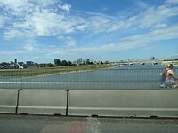 De Waal