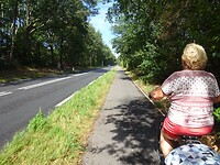 Naar de familie Seevinck