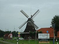 Welke is de mooiste?
