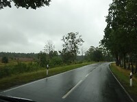 De Lünerburger heide