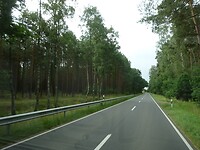 Ook door bossen