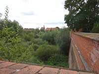 Grachten geheel begroeid