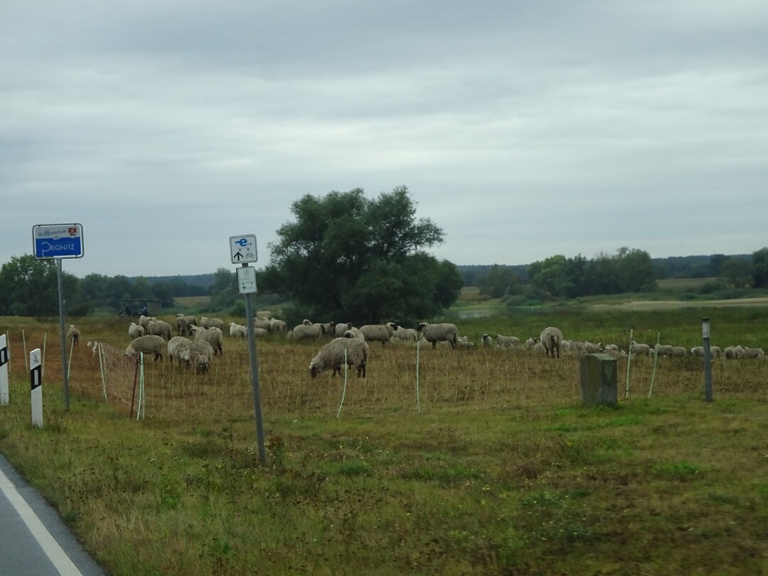 We zijn weer onderweg