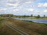 Veel watervogels die je bij ons ook ziet
