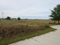 Veel windmolens