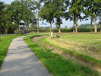 Een oud boertje met de hand aan het hooien