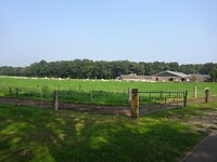 Veel grote boerderijen