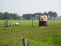 Hier moeten de boeren de koeien water geven, geen sloten!